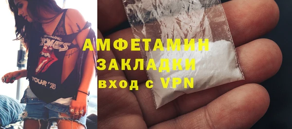 молекула духа Тайга