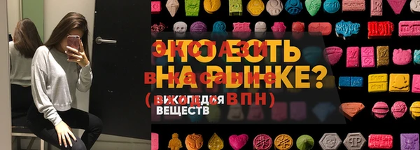молекула духа Тайга