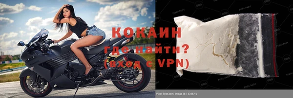 молекула духа Тайга