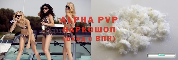 молекула духа Тайга