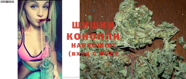 молекула духа Тайга