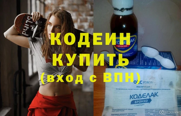 молекула духа Тайга
