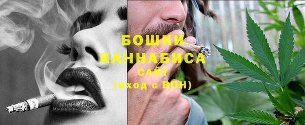 молекула духа Тайга