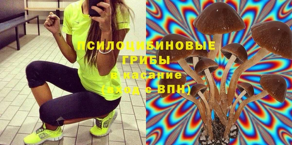 молекула духа Тайга