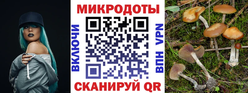 Галлюциногенные грибы ЛСД  наркота  Шарья 